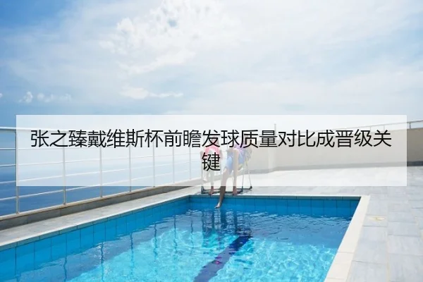 张之臻戴维斯杯前瞻发球质量对比成晋级关键