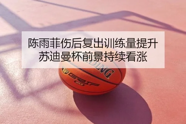 陈雨菲伤后复出训练量提升 苏迪曼杯前景持续看涨