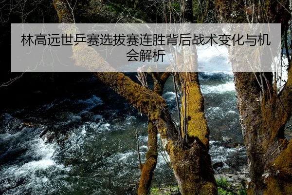 林高远世乒赛选拔赛连胜背后战术变化与机会解析